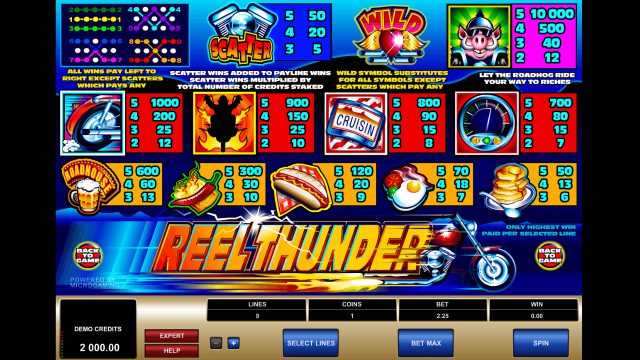 Игровой интерфейс Reel Thunder 2